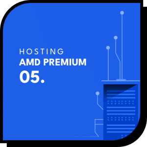 hosting-amd-premium-05